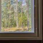 Saimaa Light Lejlighed
