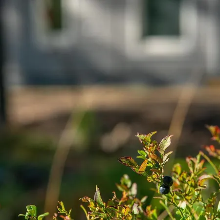 Saimaa Light شقة *