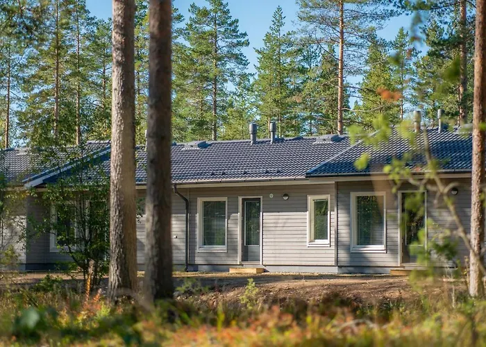 דירה Saimaa Light אימטרה