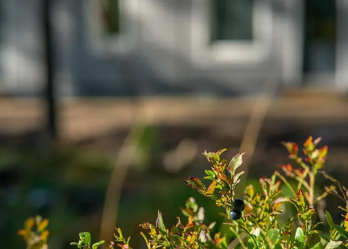 Saimaa Light דירה *